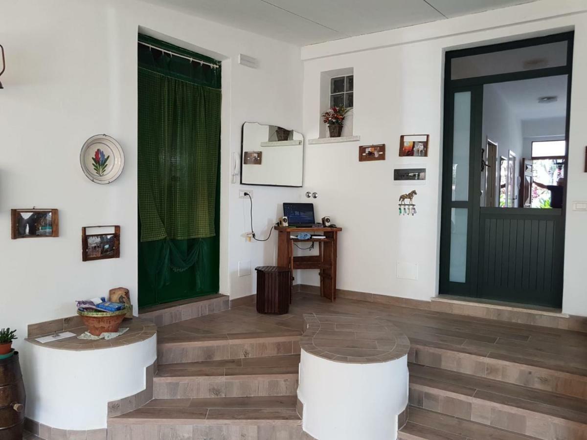B&B Sunrise Tortora Εξωτερικό φωτογραφία